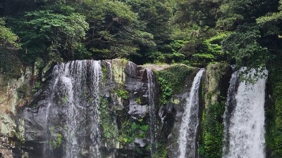제주도  자립생활체험 2/3 (9월20일)