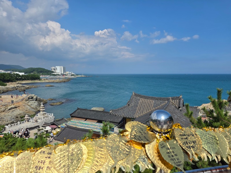 KakaoTalk_20251010_112259288_08.jpg